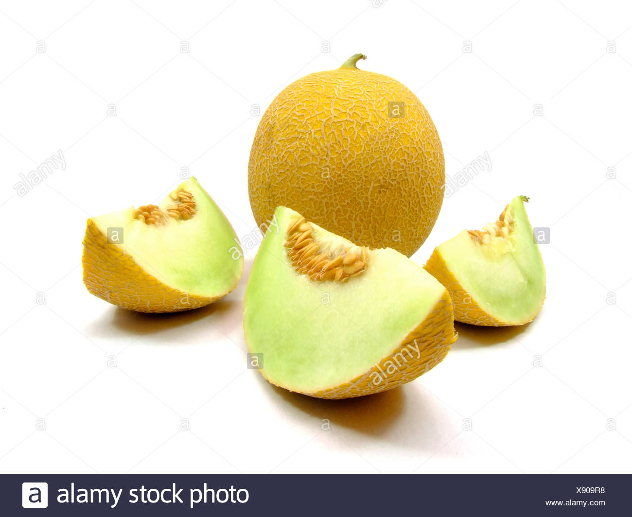 galiamelone (cucumis melo) Stock Photo
