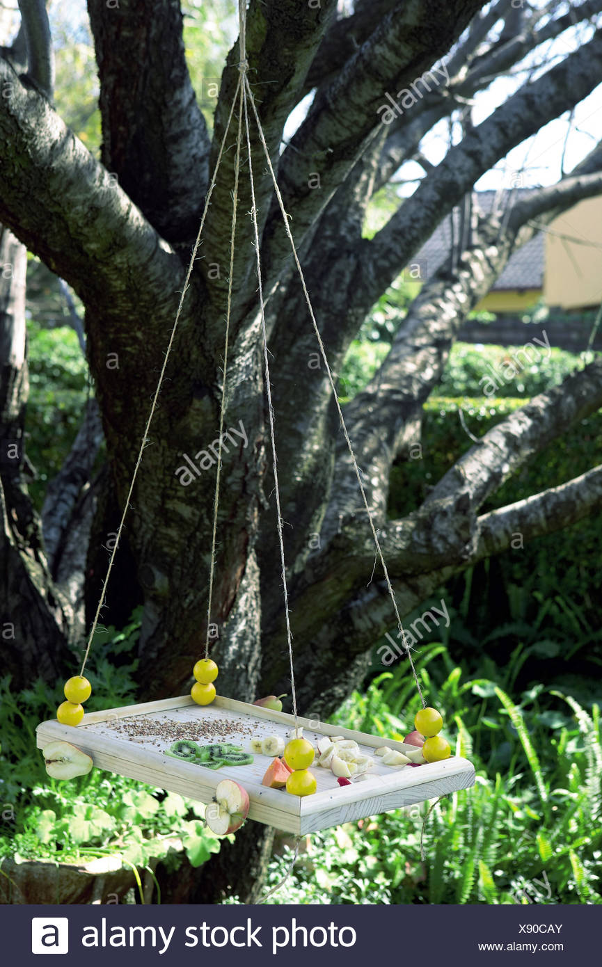 Open A Bird Restaurant A Bird Feeder Hanging On A String From A