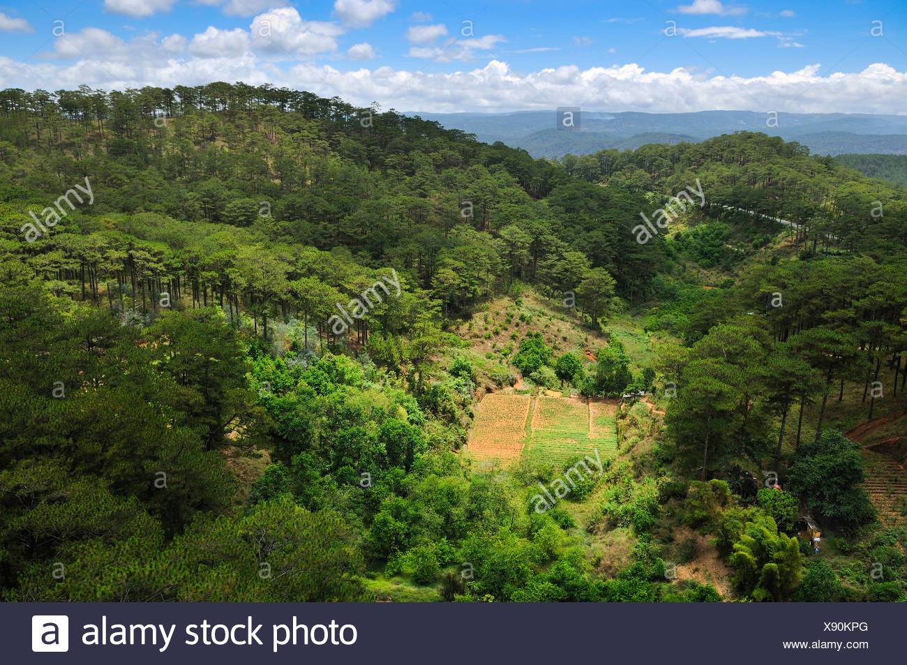Agricultural Cultivated Area On Agent Orange Land Which Was Contaminated With Defoliant During The Vietnam War Near Dalat Stock Photo Alamy