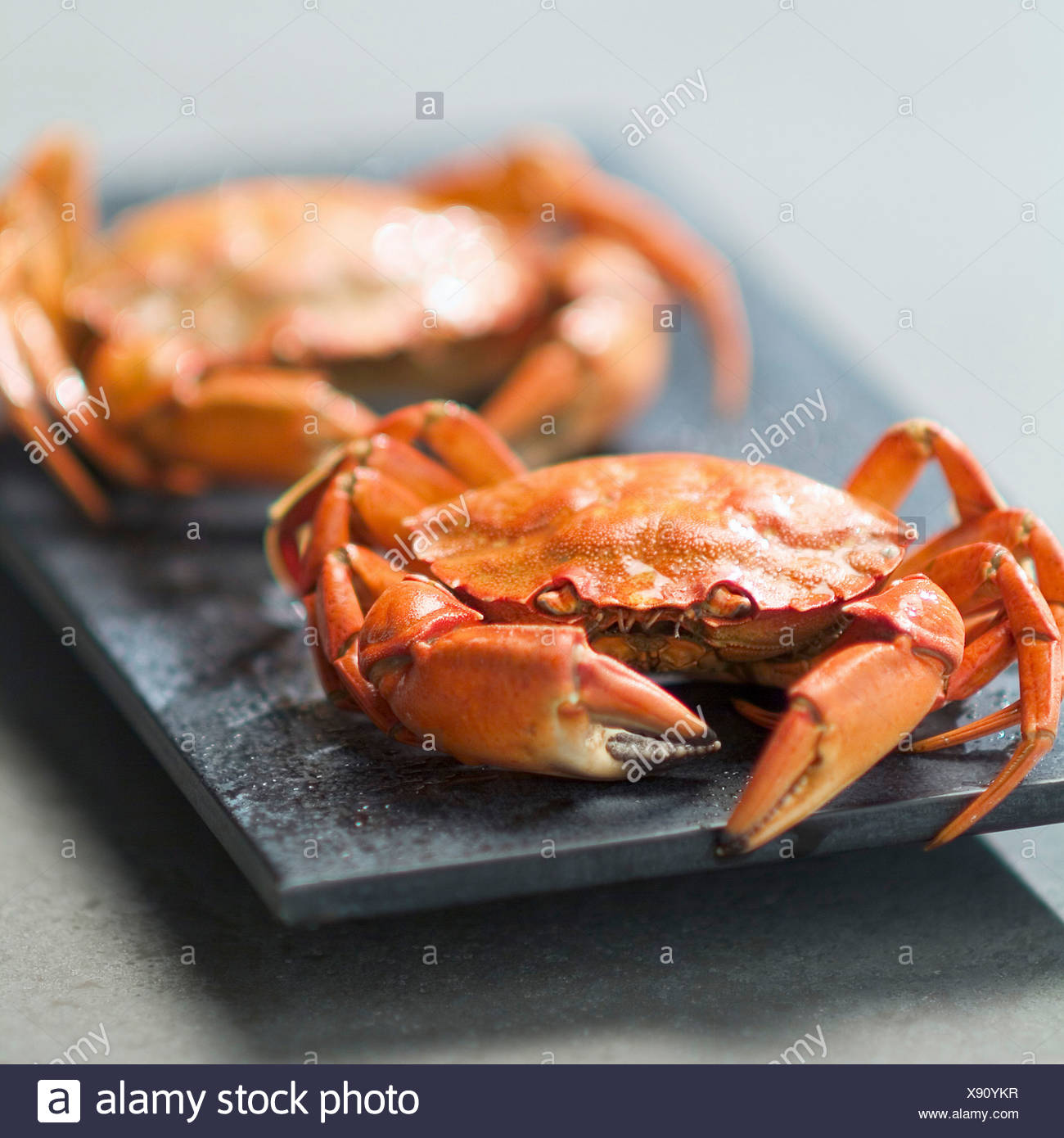 French Crabs High Resolution Stock Photography and Images Alamy