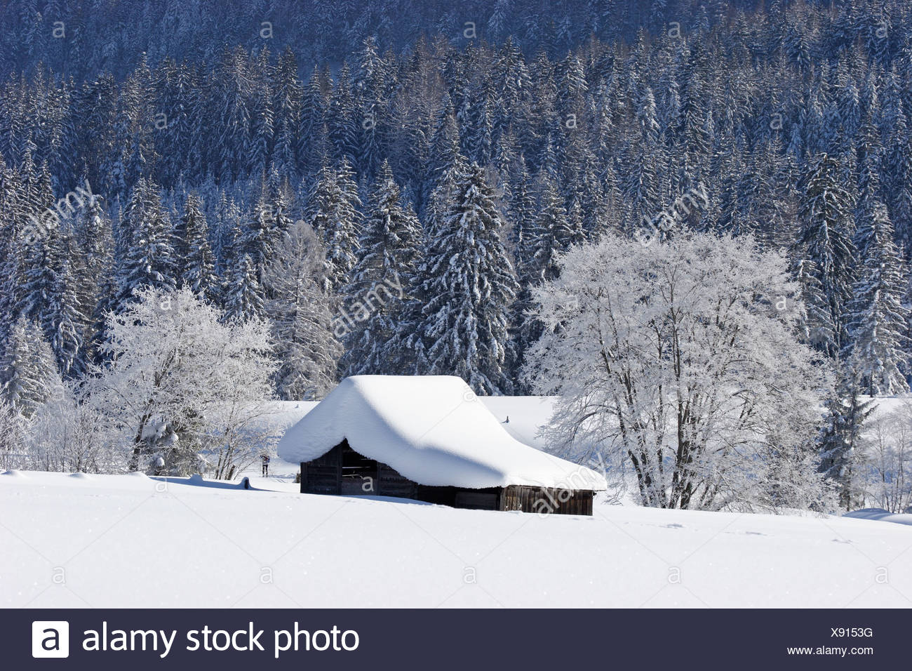Log Cabins Deeply Covered With Snow Near Krungl Styria Austria