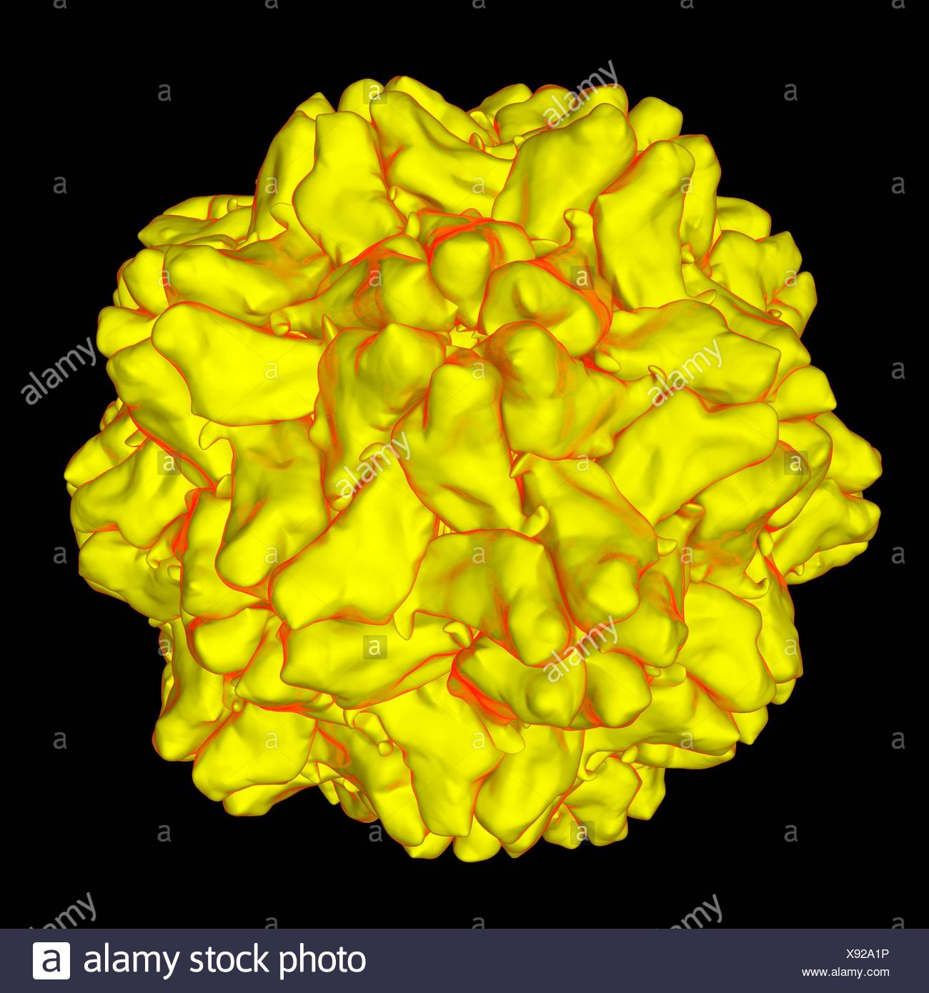 Turnip Yellow Mosaic Virus High Resolution Stock Photography and Images