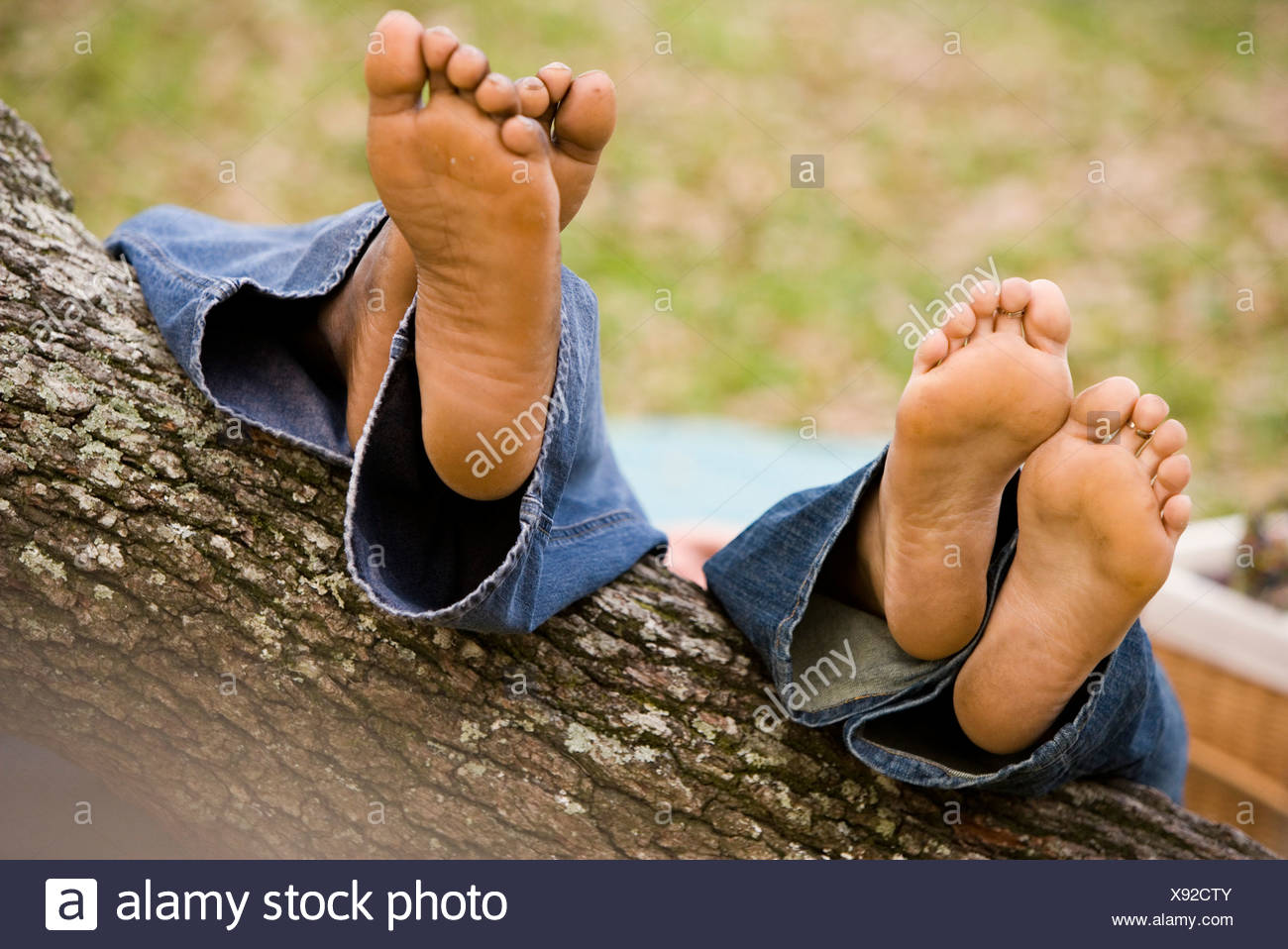 Close-up view of a pair of feet resting on a low-hanging tree ...