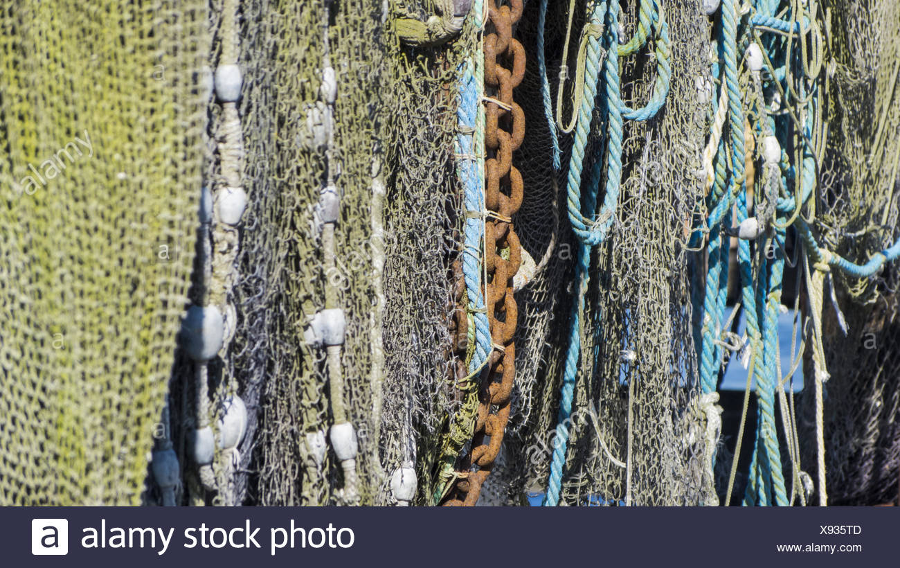 Eel Nets Stock Photos & Eel Nets Stock Images Alamy