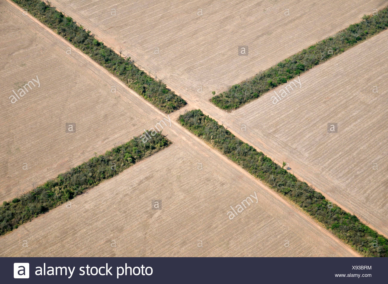 narrow strips of land Narrow strips of land