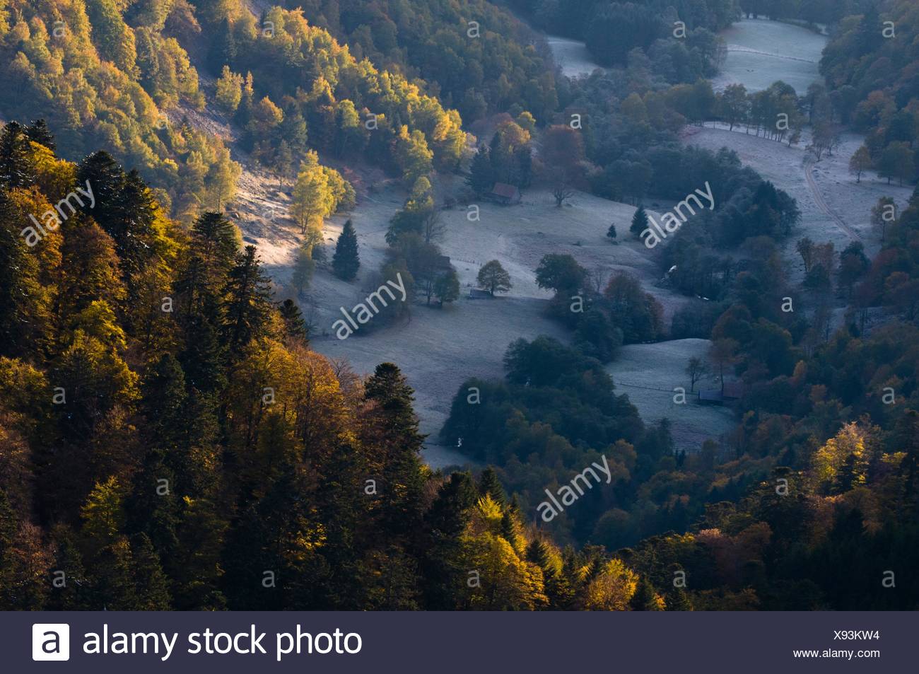 Wormsa Valley View From Above Autumn Colours Mixed Forest - 