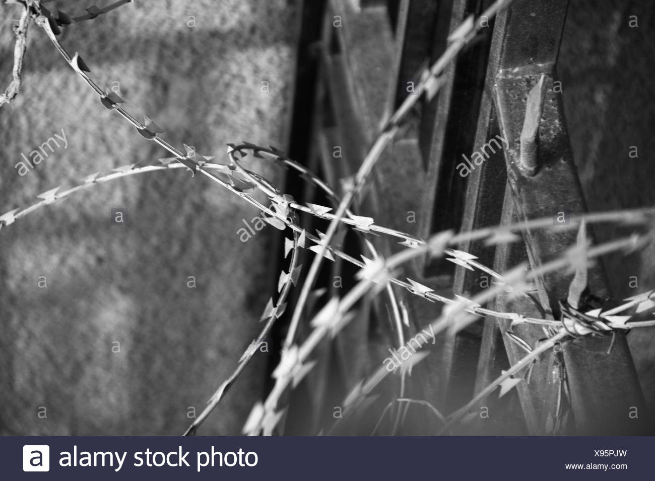 Razor Wire Injury High Resolution Stock Photography and Images Alamy