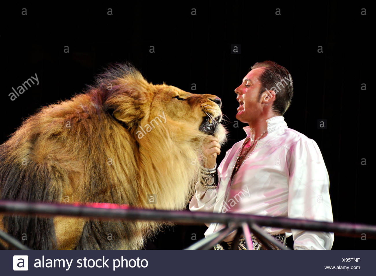 Lion Tamers High Resolution Stock Photography and Images - Alamy