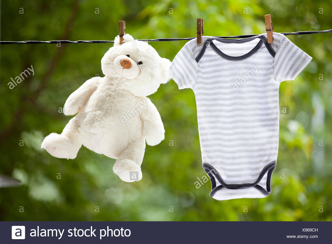 teddy out of baby clothes