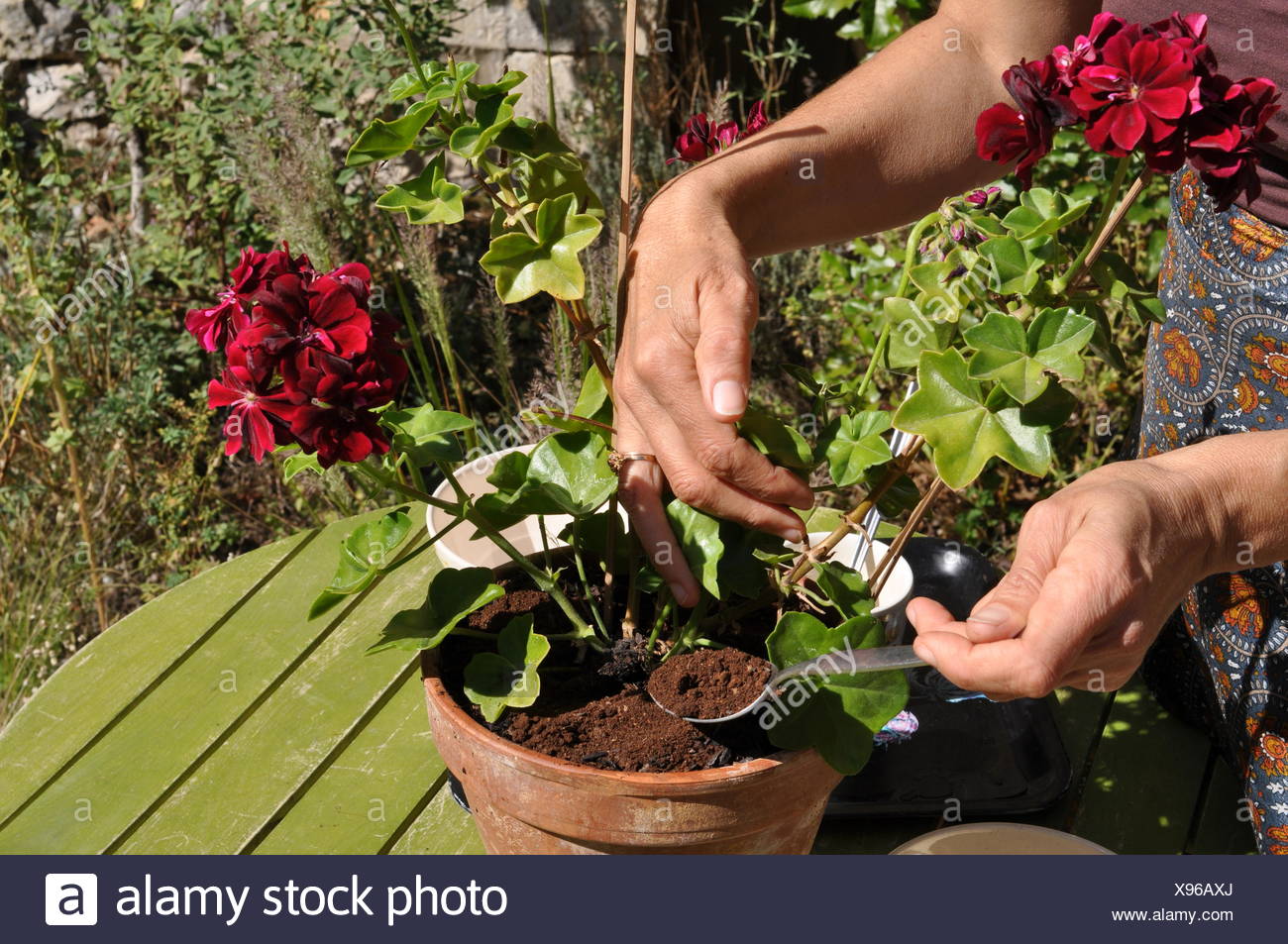 Coffee Grounds High Resolution Stock Photography and Images Alamy