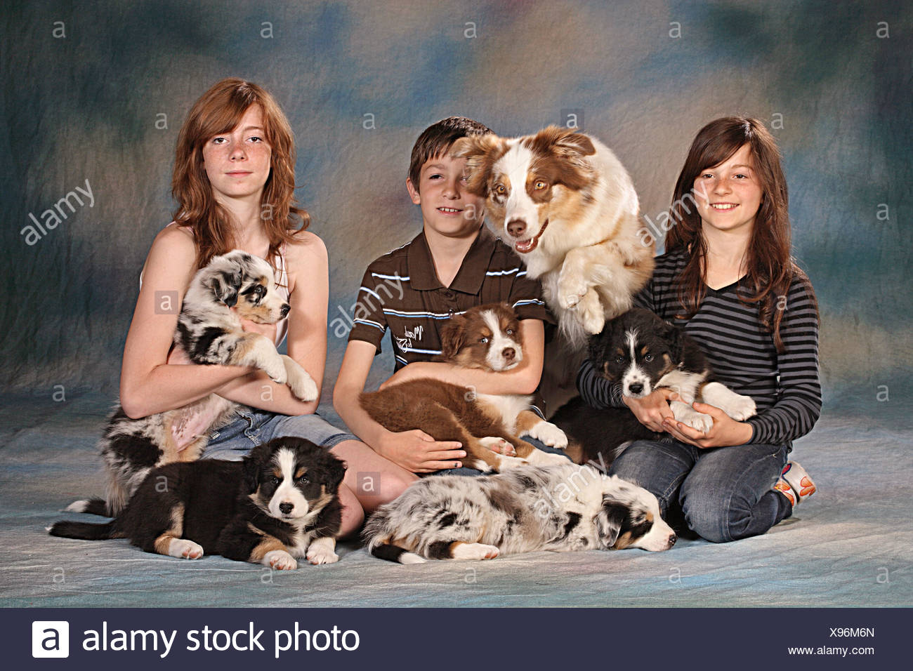 australian shepherd children