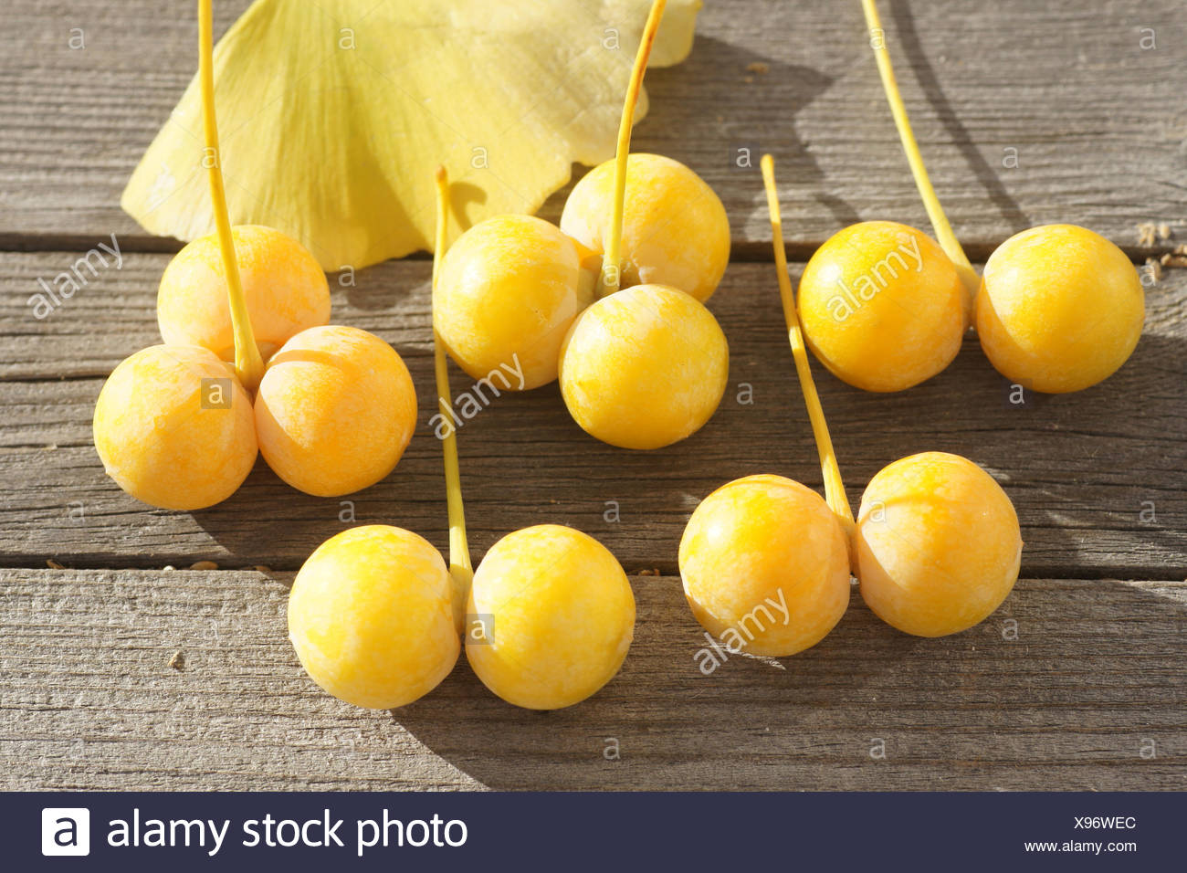 Ginkgo Fruits Stock Photos &amp; Ginkgo Fruits Stock Images - Alamy