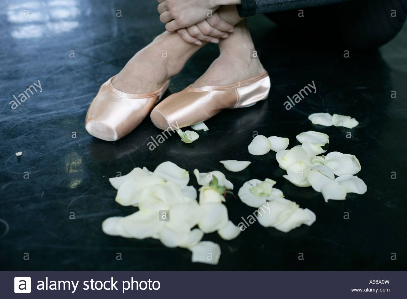 ballet shoes next