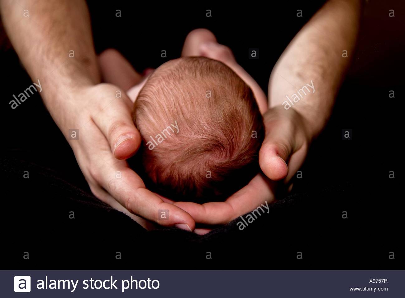 Newborn Baby Boy Cradled In Daddies Hands Stock Photo Alamy