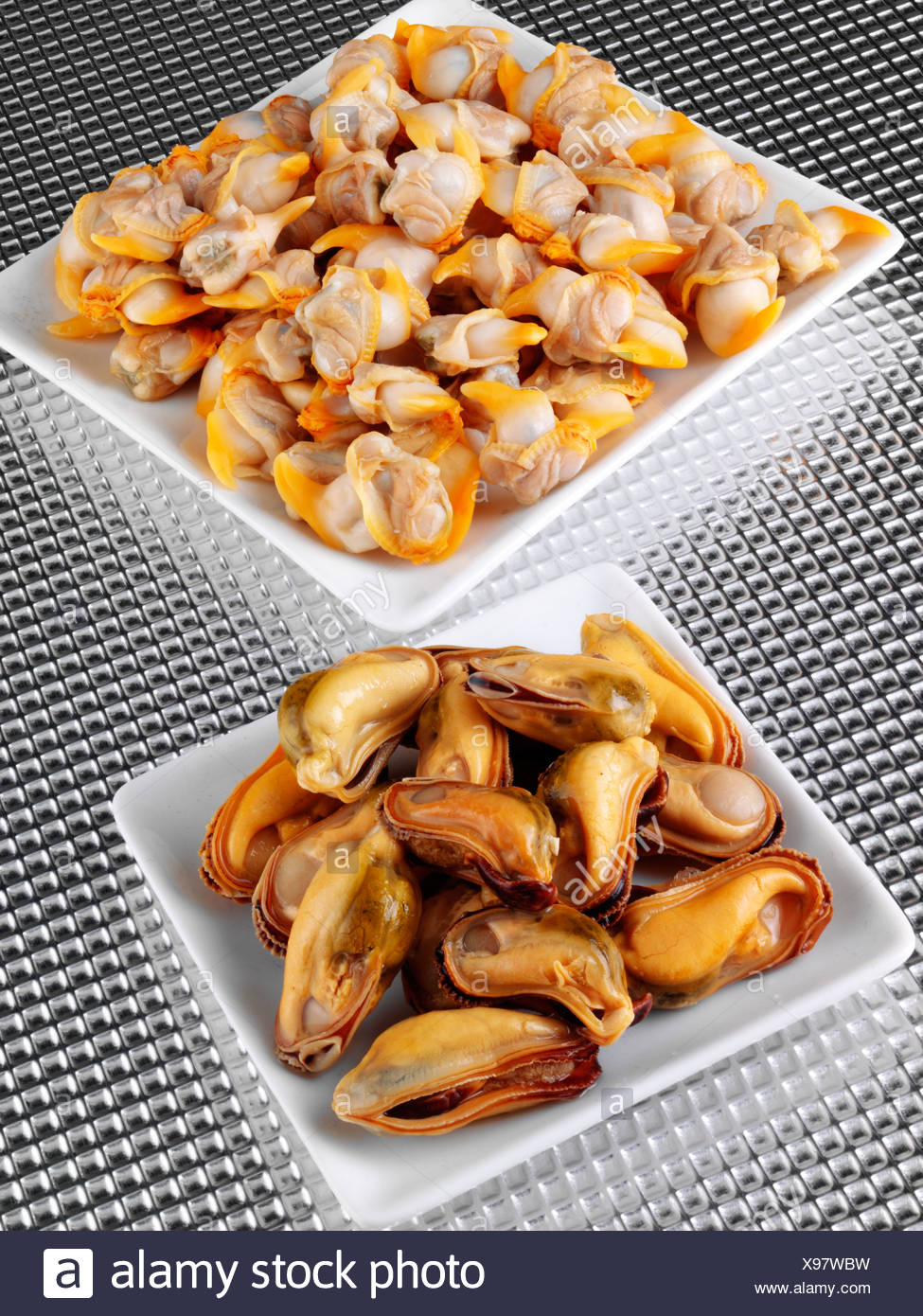 Welsh Mussels And Cockles High Resolution Stock Photography and Images