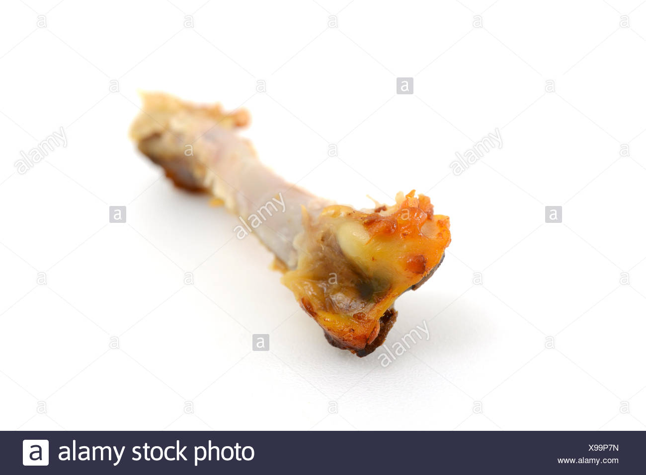 Leg Bone Stock Photos & Leg Bone Stock Images Alamy
