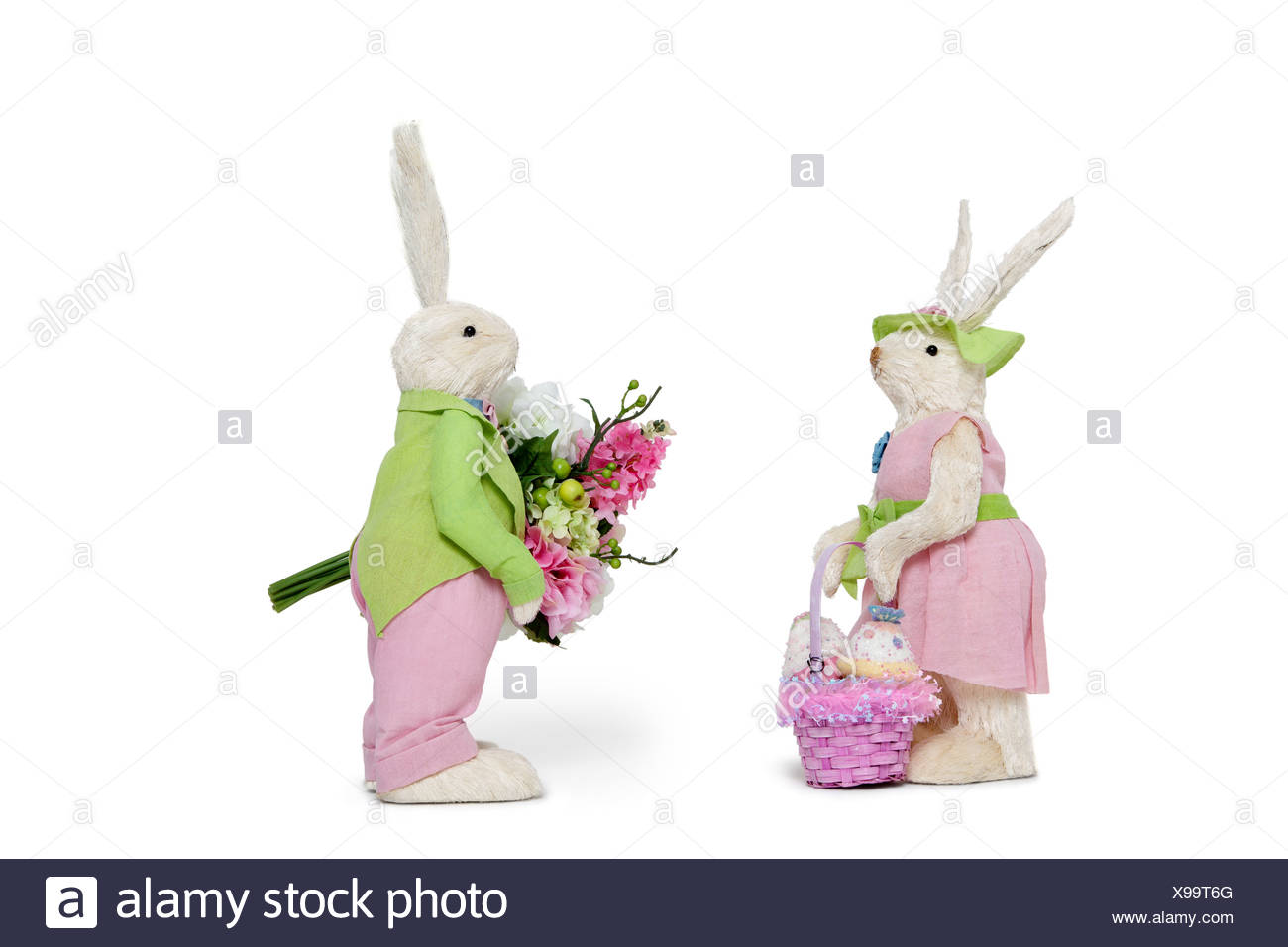 male or female rabbit