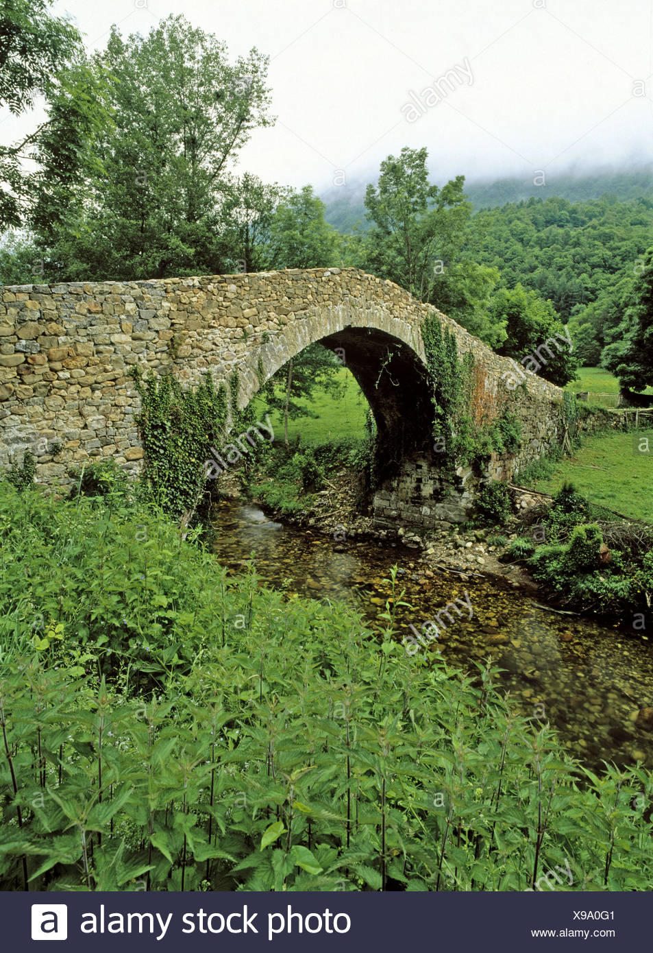 Bridge Campo De Caso Redes National Park Asturias Spain Stock Photo Alamy