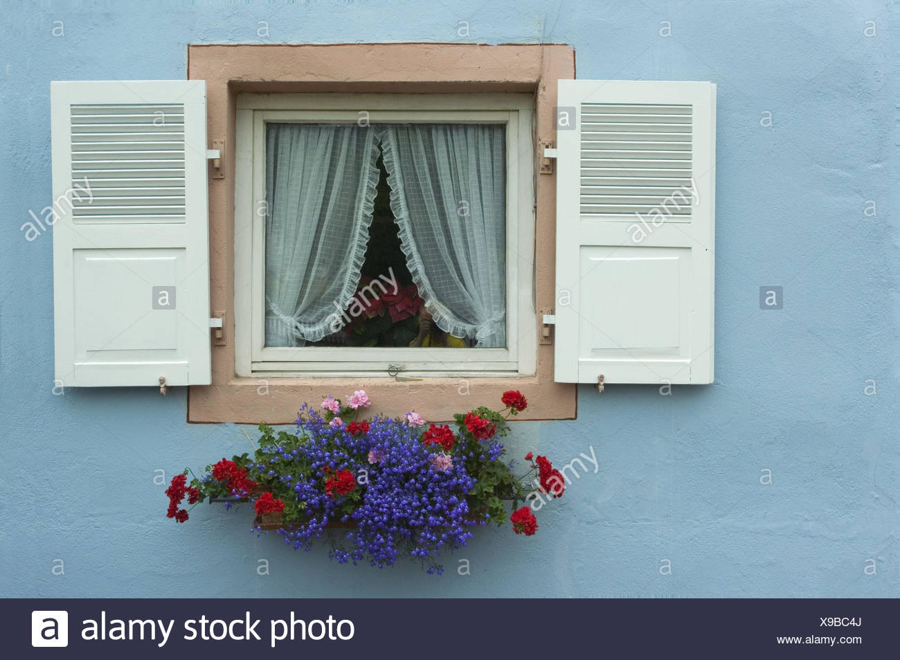 House Window Floral Decoration Detail Residential House