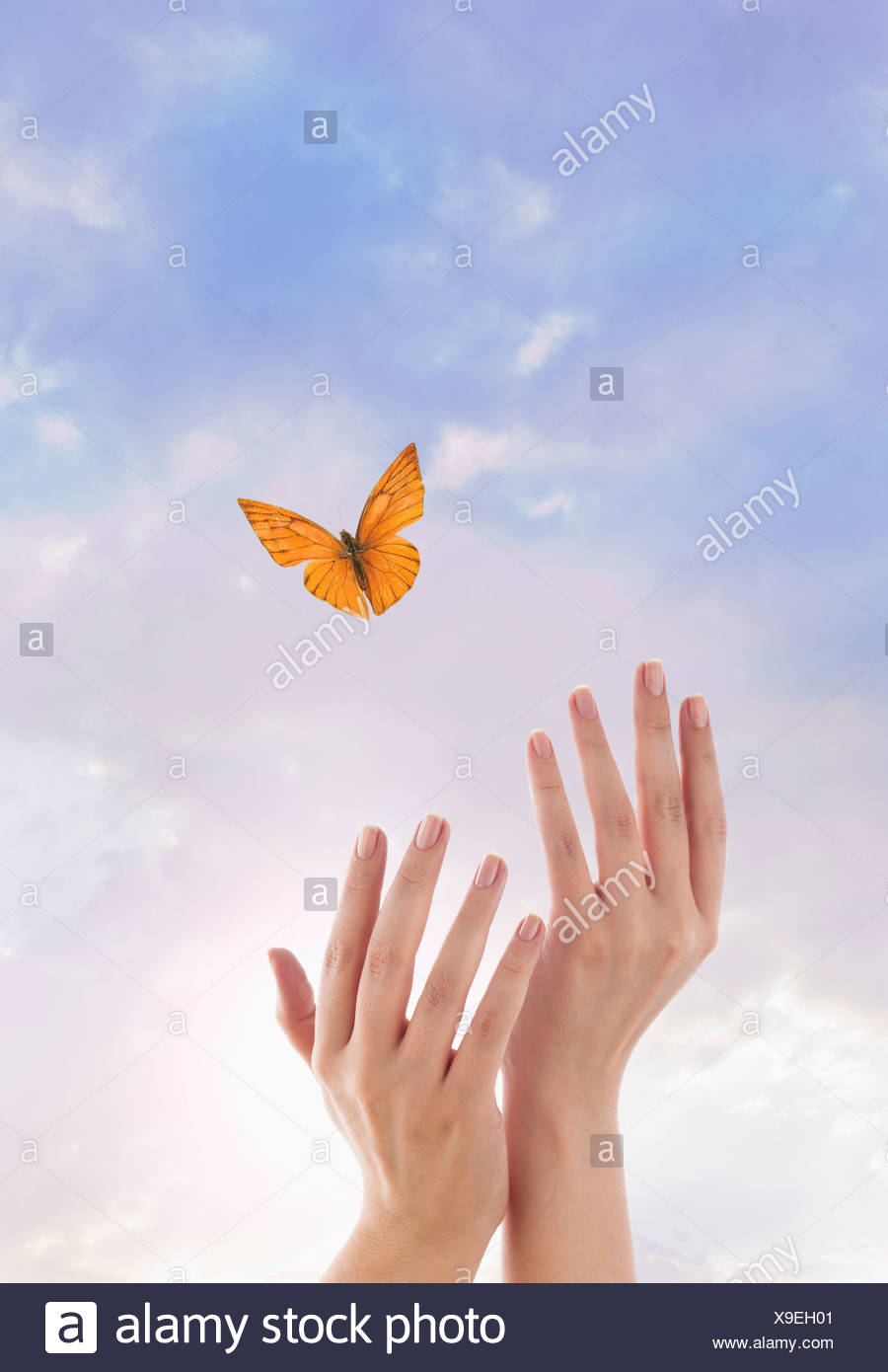 Close Up Of Womans Hands And Flying Butterfly Against Blue