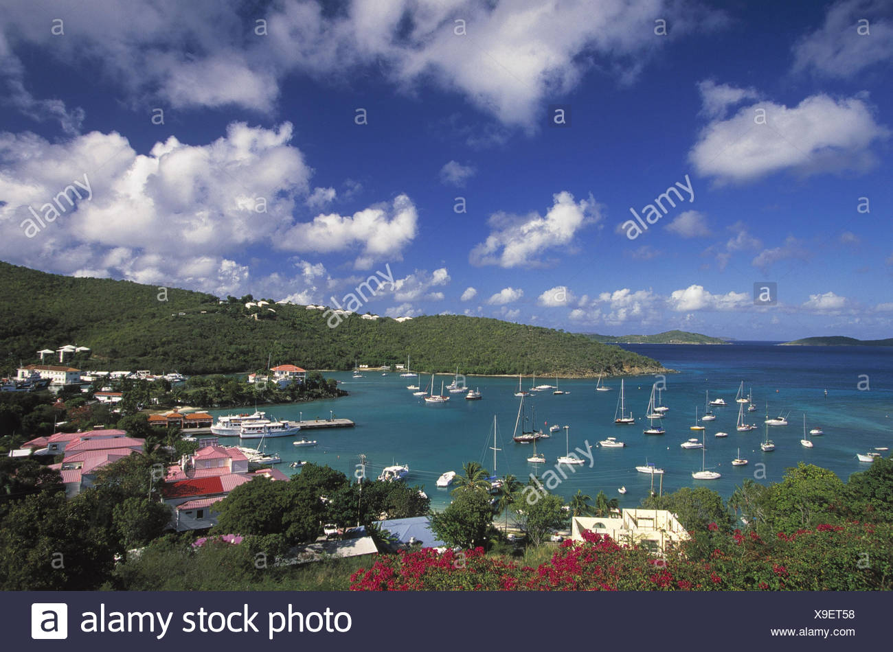 Karibik U S Virgin Islands St John Cruz Bay Hafen Boote Ubersicht Mittelamerika Westindische Inseln Kleine Antillen Virgin Islands Of The United States Amerikanische Jungferninseln Ort Hauptort Ortsansicht Hauser Wohnhauser Hafen