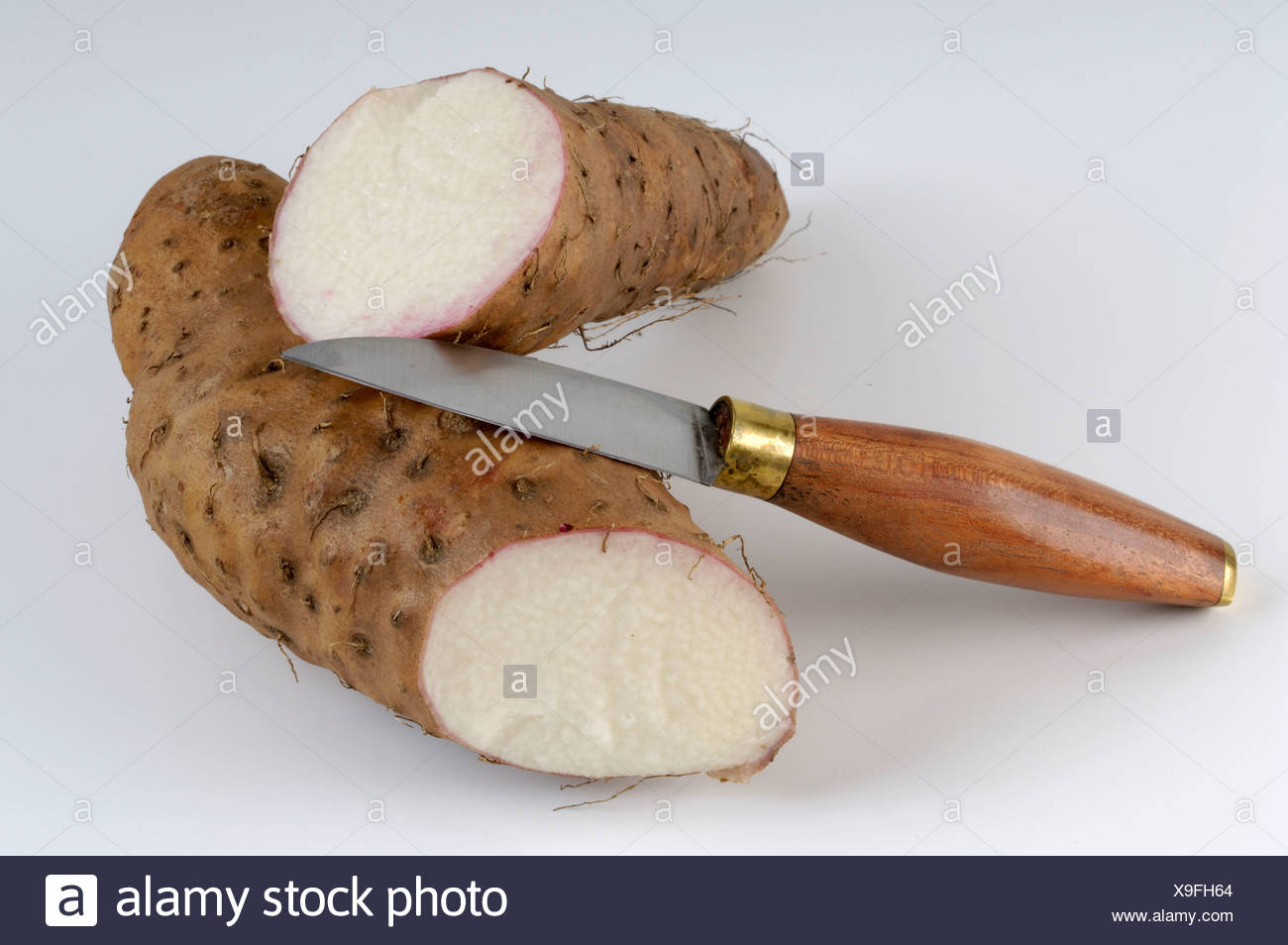 Yam Root Dioscorea Alata High Resolution Stock Photography and Images