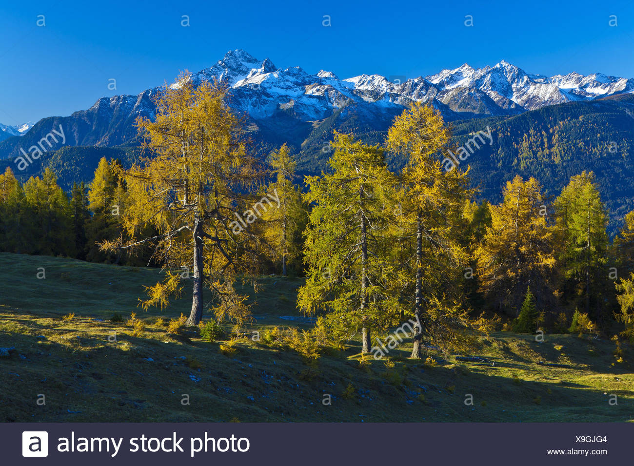 Acherkogel High Resolution Stock Photography And Images Alamy