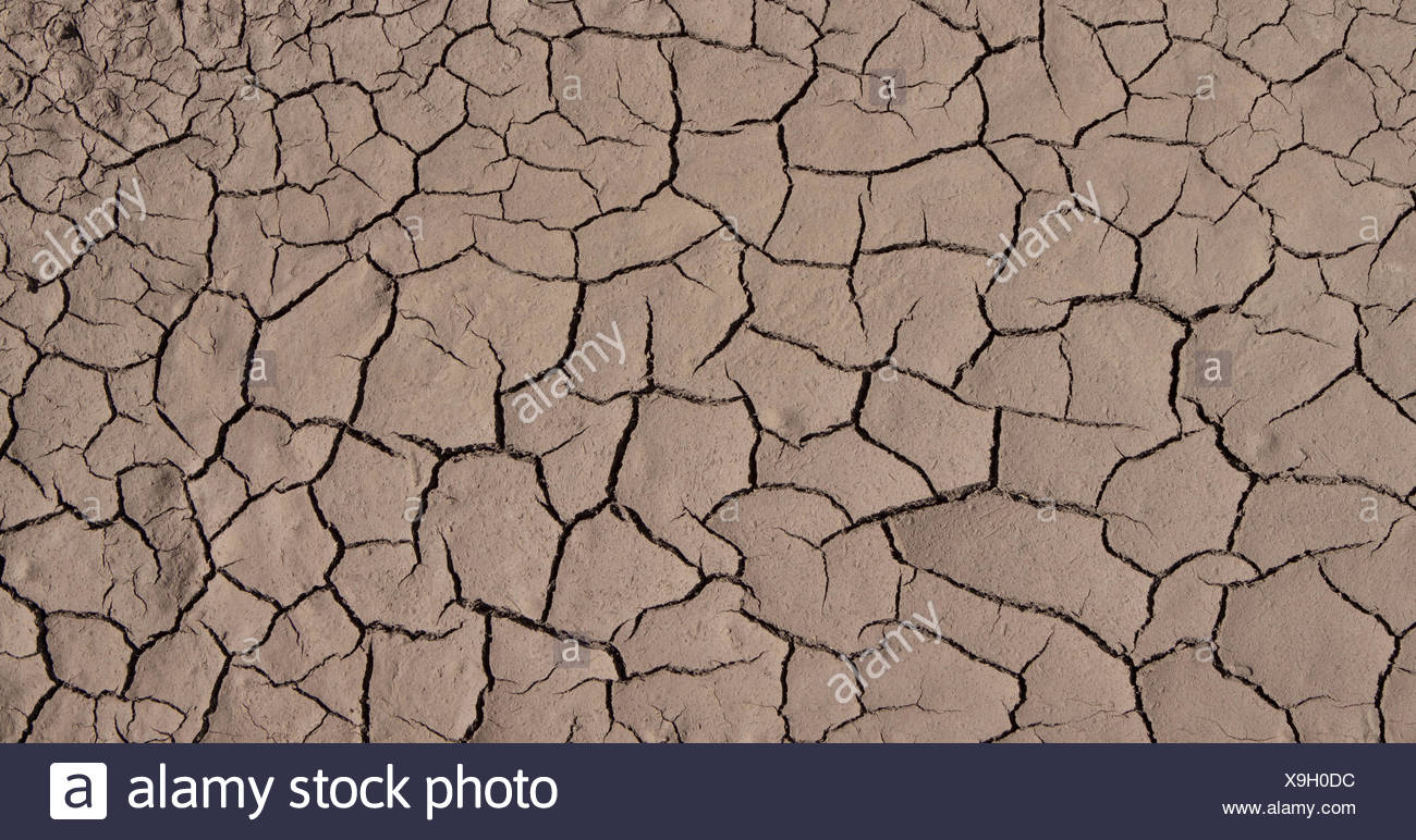 Infertile Soil High Resolution Stock Photography and Images Alamy
