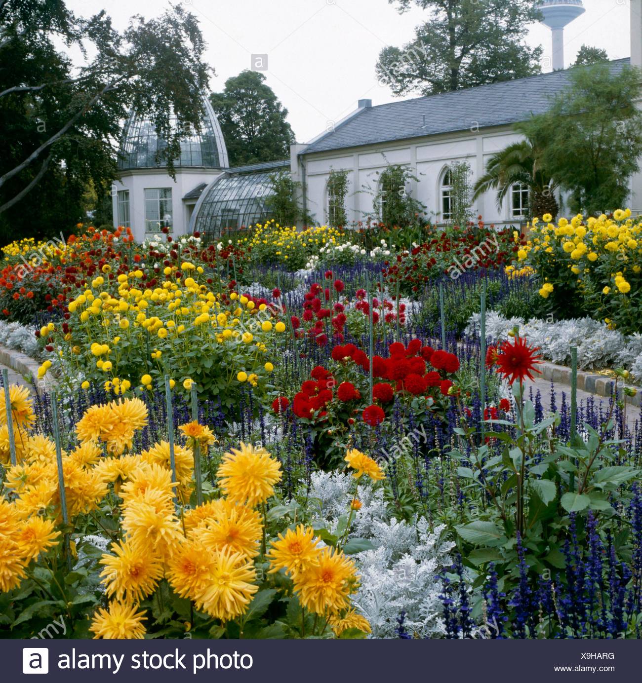 Palmengarten Frankfurt Germany Please Credit Photos Hort