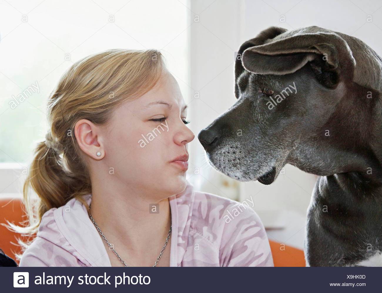 great dane bad breath