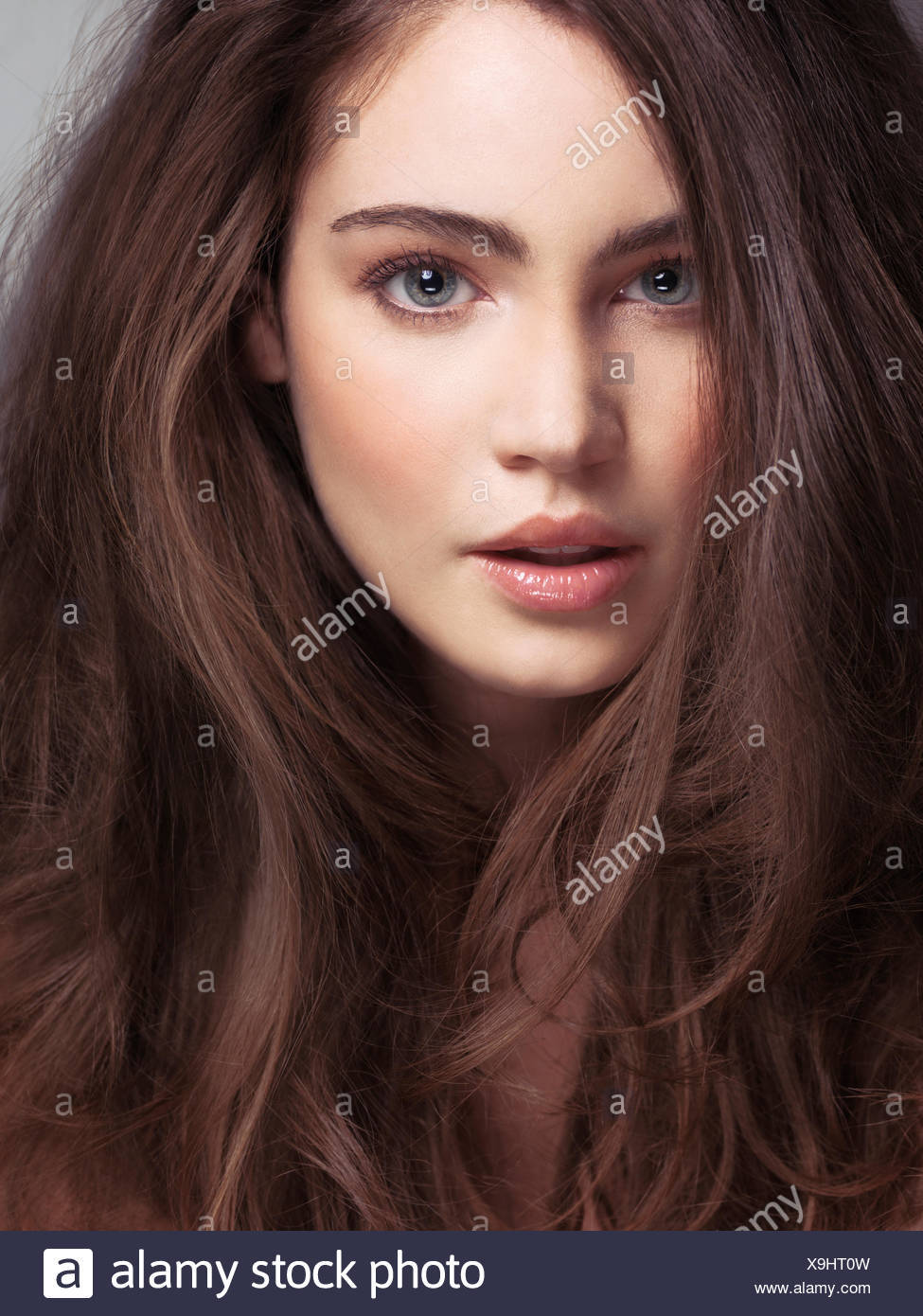 Beauty Face Portrait Of Young Woman With Long Brown Hair And Gray Eyes Front View Stock Photo Alamy