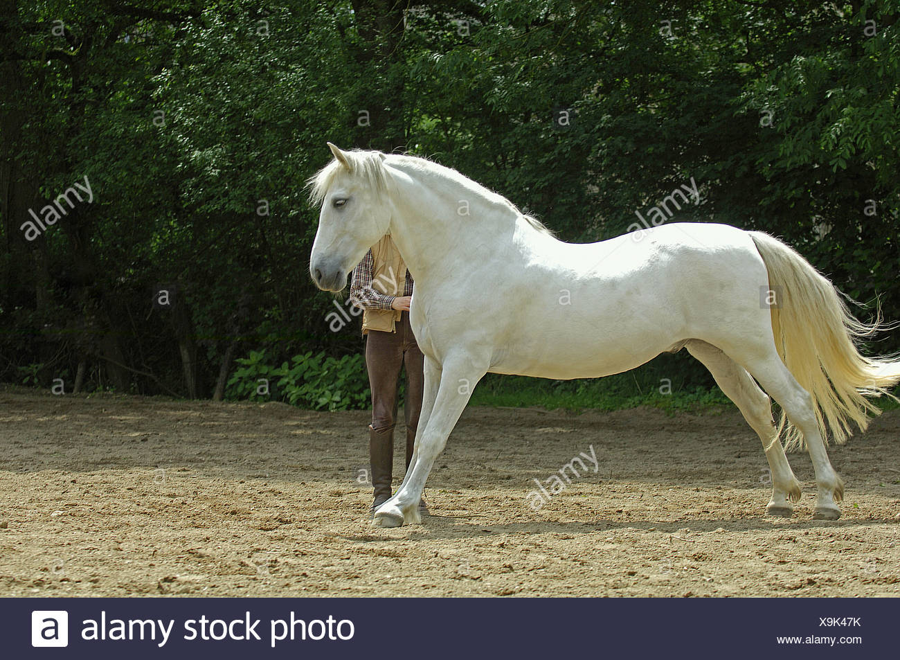 Bitless Stock Photos Bitless Stock Images Alamy