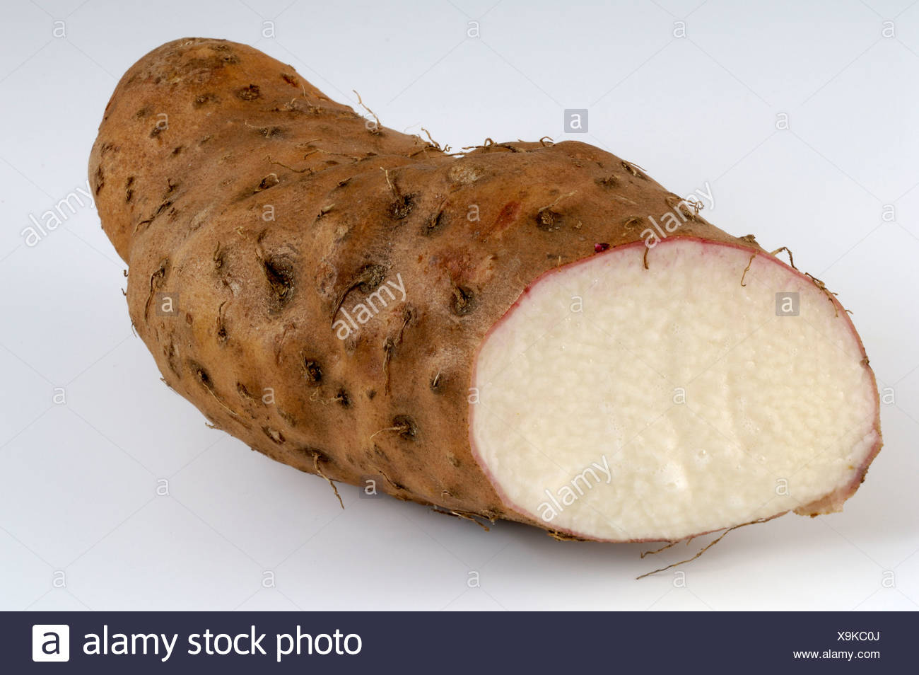 Yam Root Dioscorea Alata High Resolution Stock Photography and Images