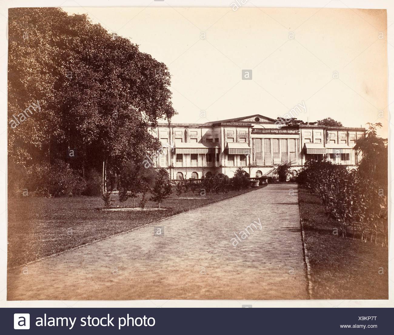 16 2 X 21 2 Cm High Resolution Stock Photography and Images Alamy