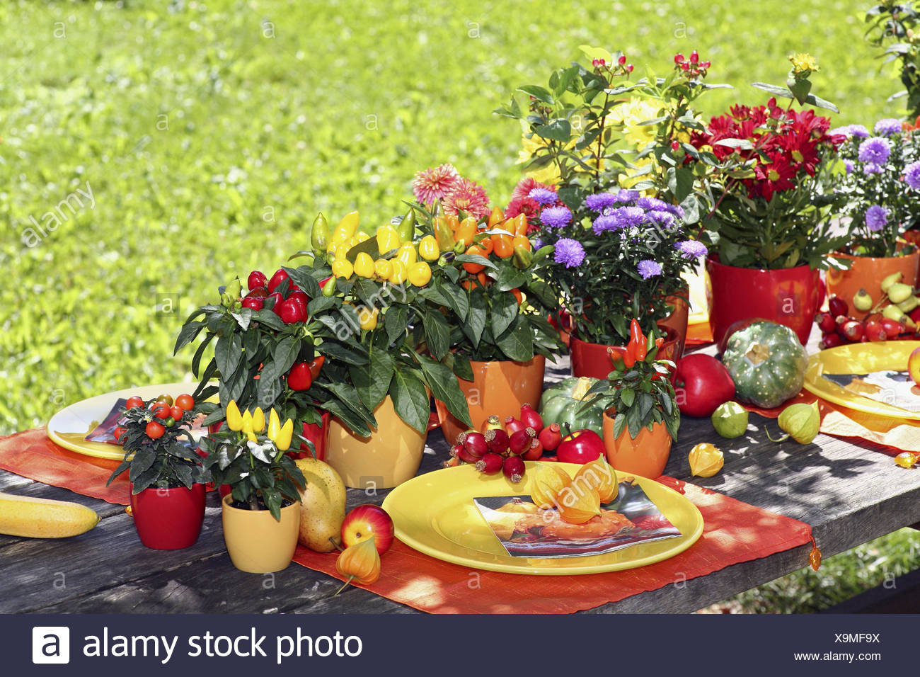 Garden Table Decorated Autumnally Covered Brightly Fruits Flowers Vegetables Garden Table Late Summer Season Autumn Pumpkin Rose Hips Physalis Asters Flowerpots Plates Paprika Plant Chrysanthemum Johanniskraut Yellow Orange