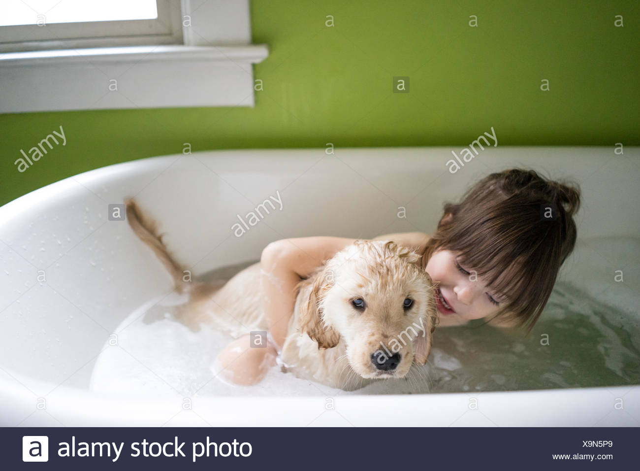 puppy in bathtub