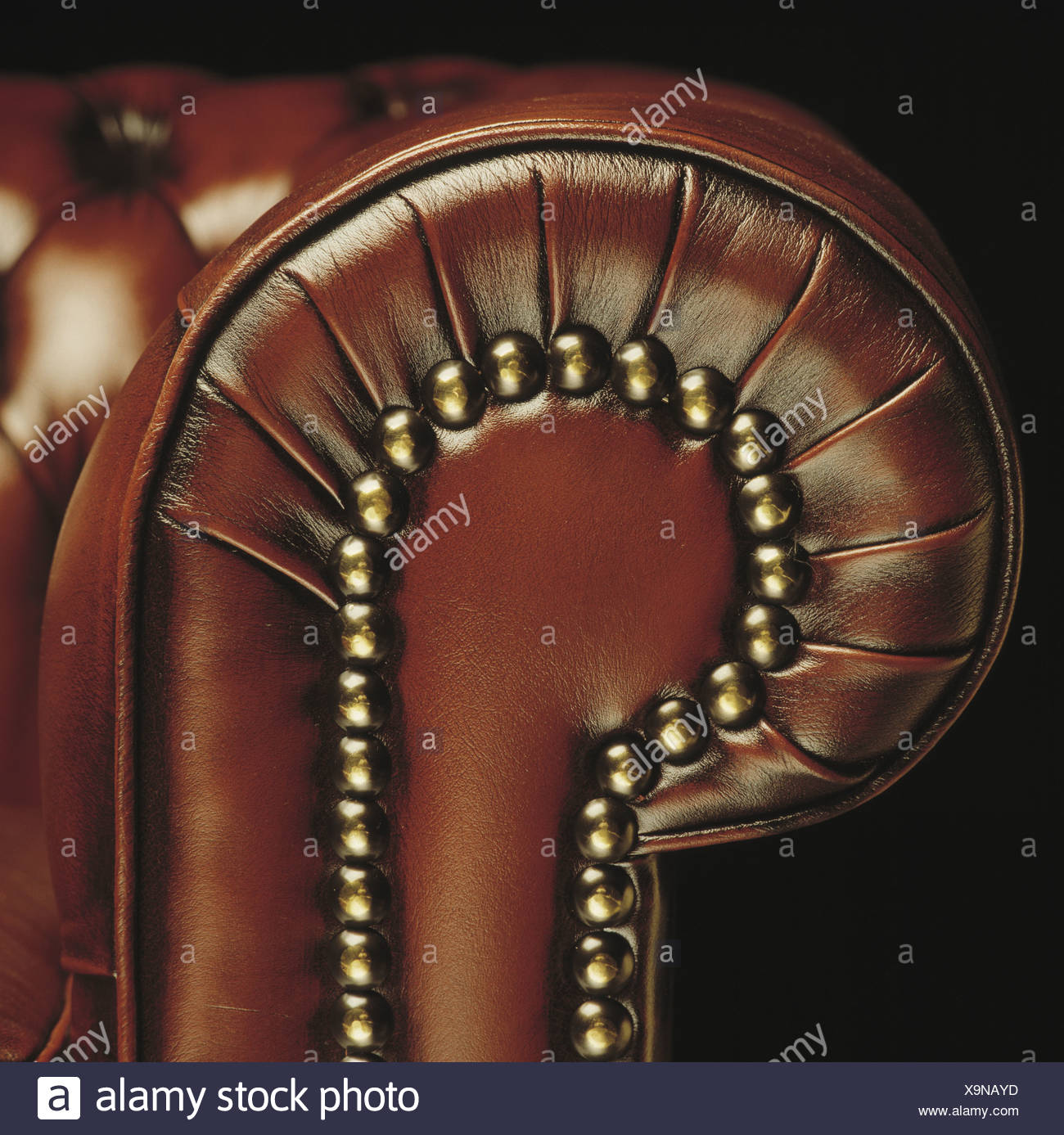 Brass Studs Stock Photos & Brass Studs Stock Images Alamy