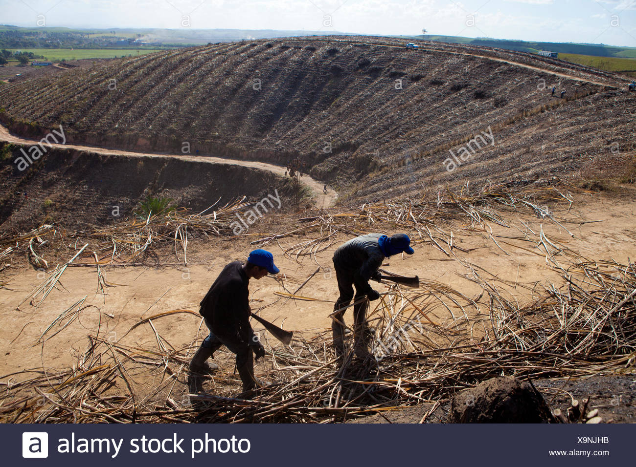 Slash And Burn Brazil Stock Photos & Slash And Burn Brazil Stock Images ...