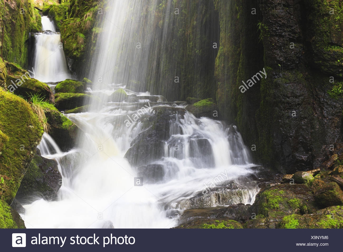 Sankt Blasien Stock Photos Sankt Blasien Stock Images Alamy