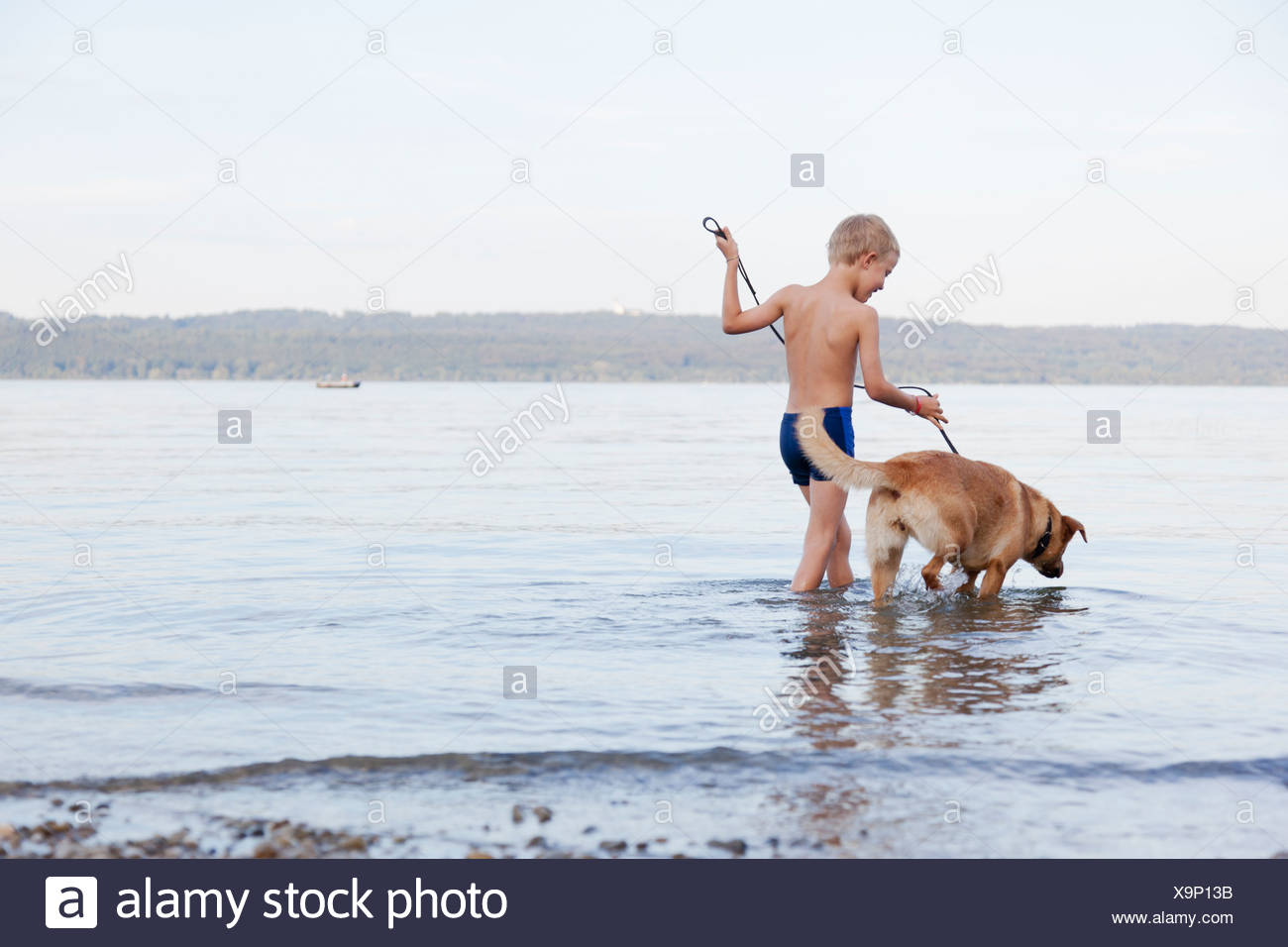 Boy Recreation Wading Young High Resolution Stock Photography and