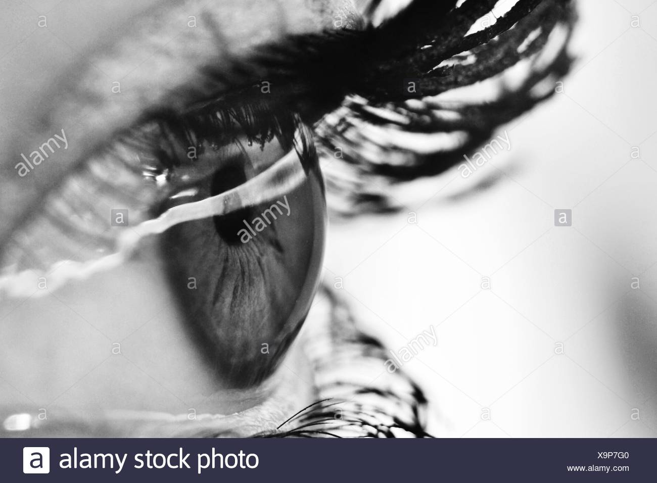 Human Eye Side View Black and White Stock Photos & Images - Alamy