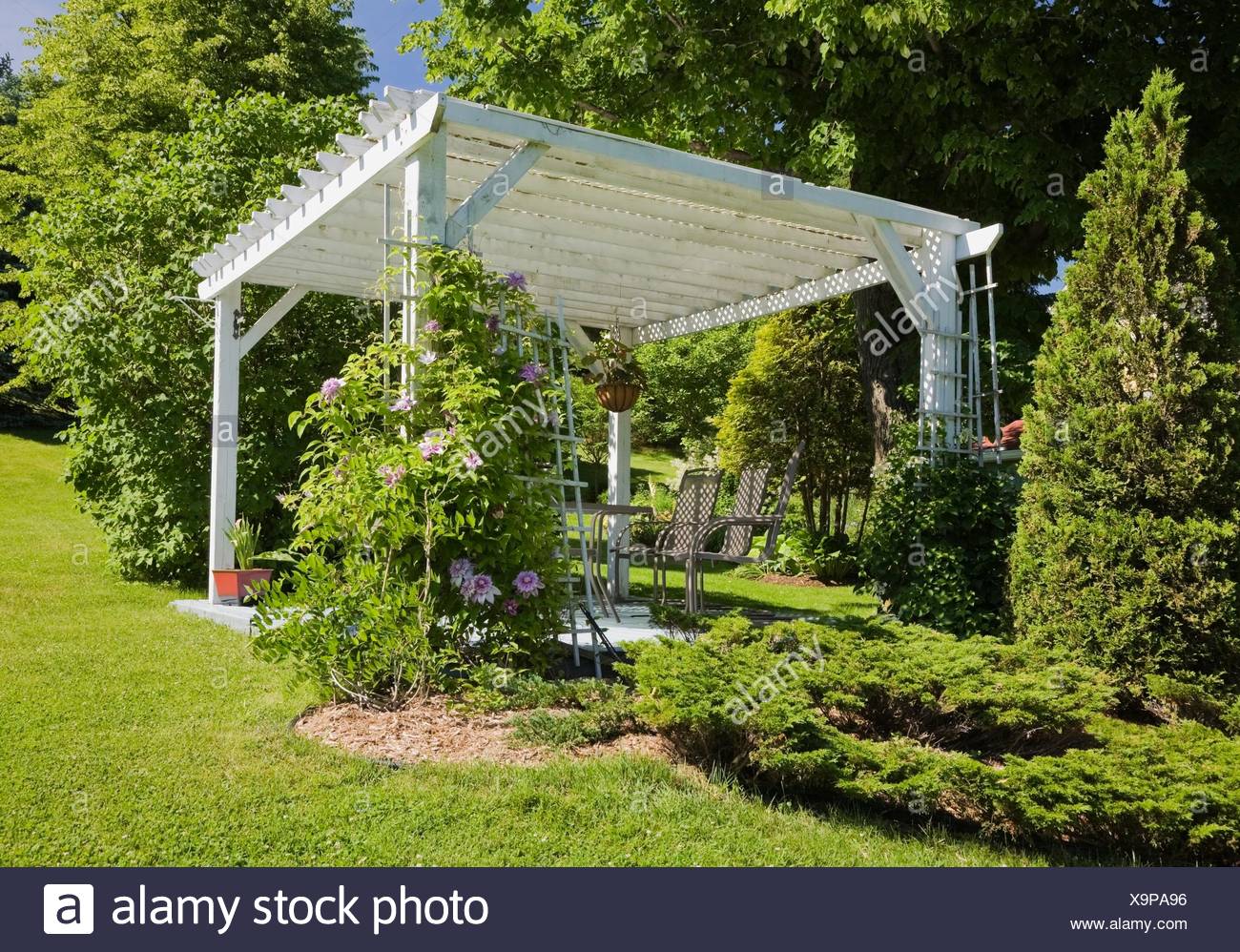 Tree Border Ground High Resolution Stock Photography and Images Alamy