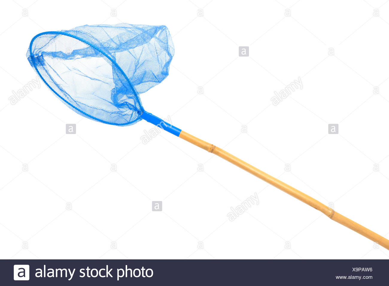 Butterfly Net High Resolution Stock Photography and Images Alamy