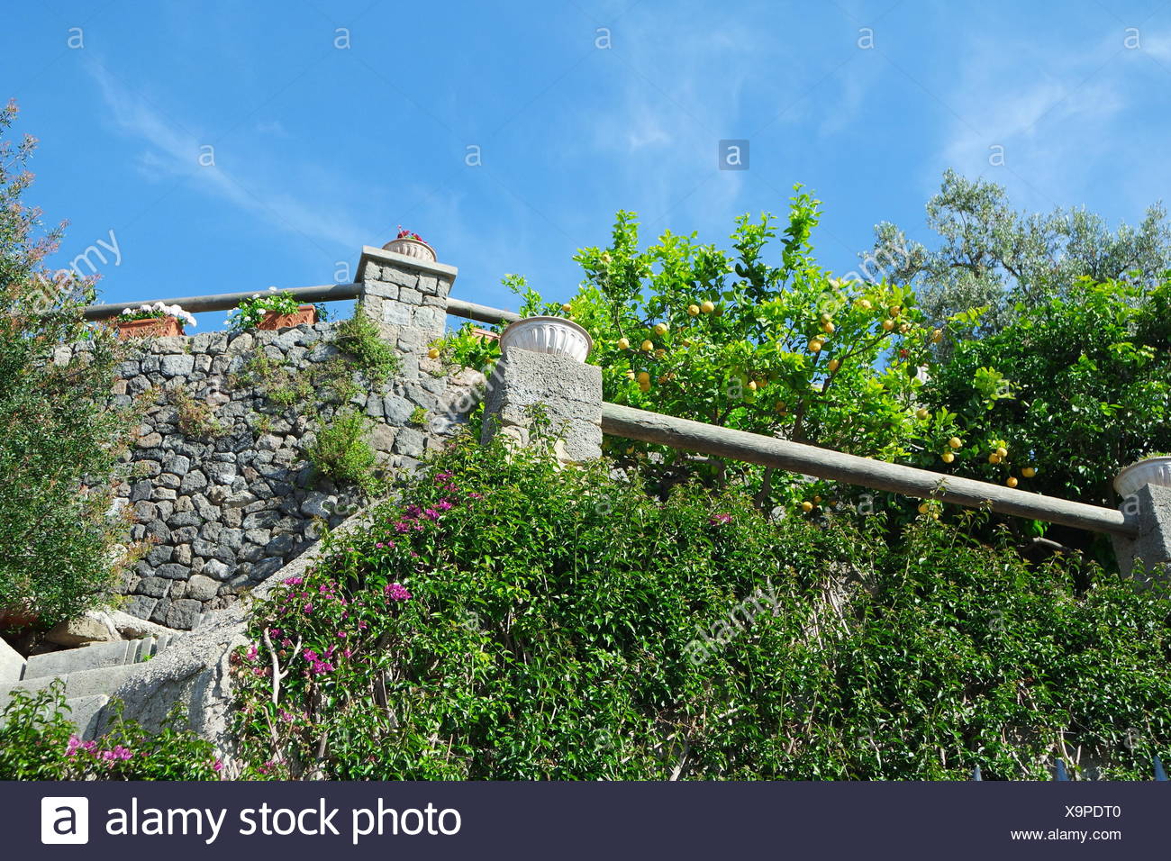 Mediterraner Garten Ischia Stock Photo 281391600 Alamy