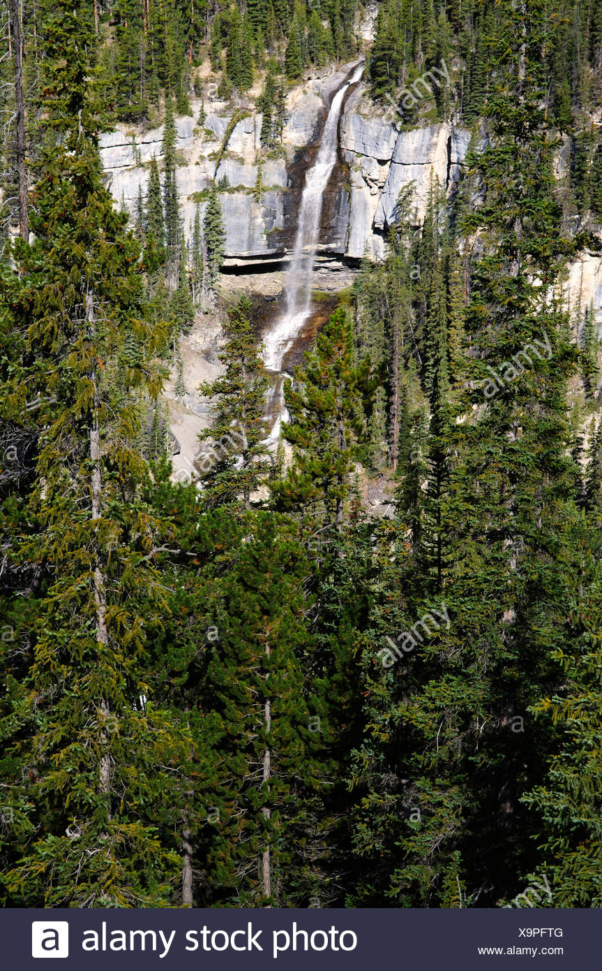 Bridal Veil Falls Banff National Stock Photos & Bridal Veil Falls Banff
