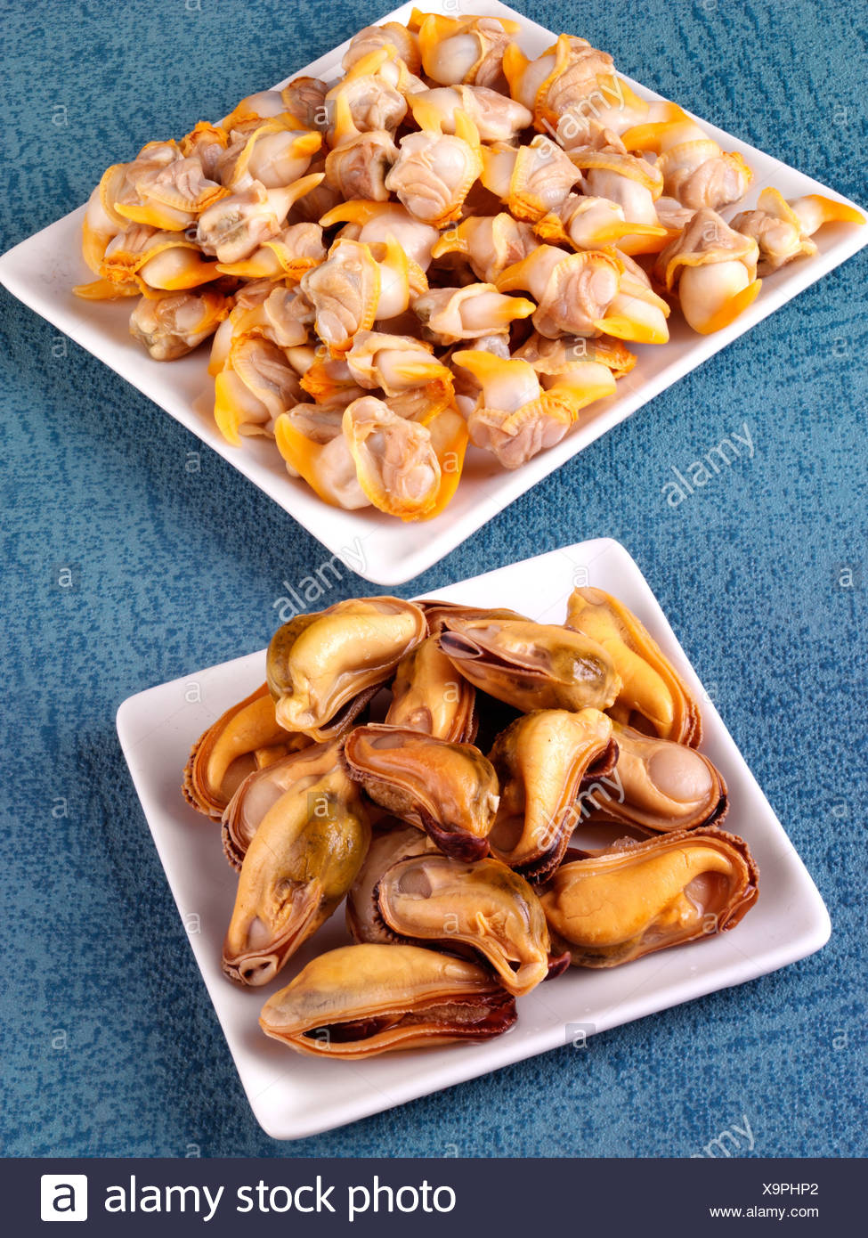 What's The Difference Between Cockles And Mussels at Jason Graves blog