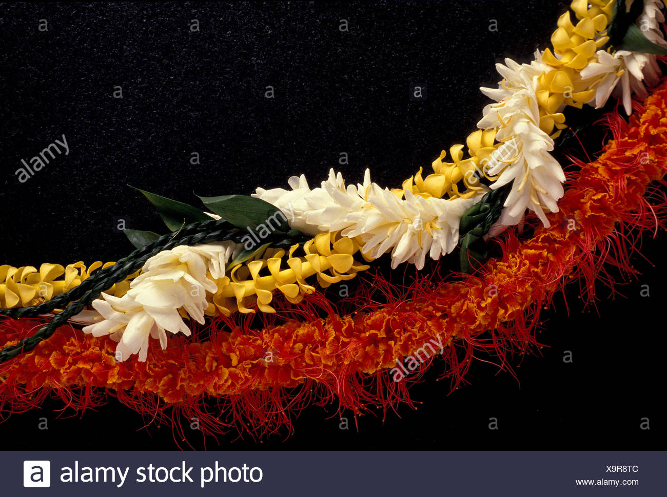 Puakenikeni High Resolution Stock Photography and Images Alamy