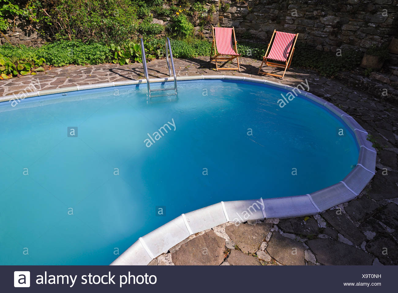 kidney inground pool