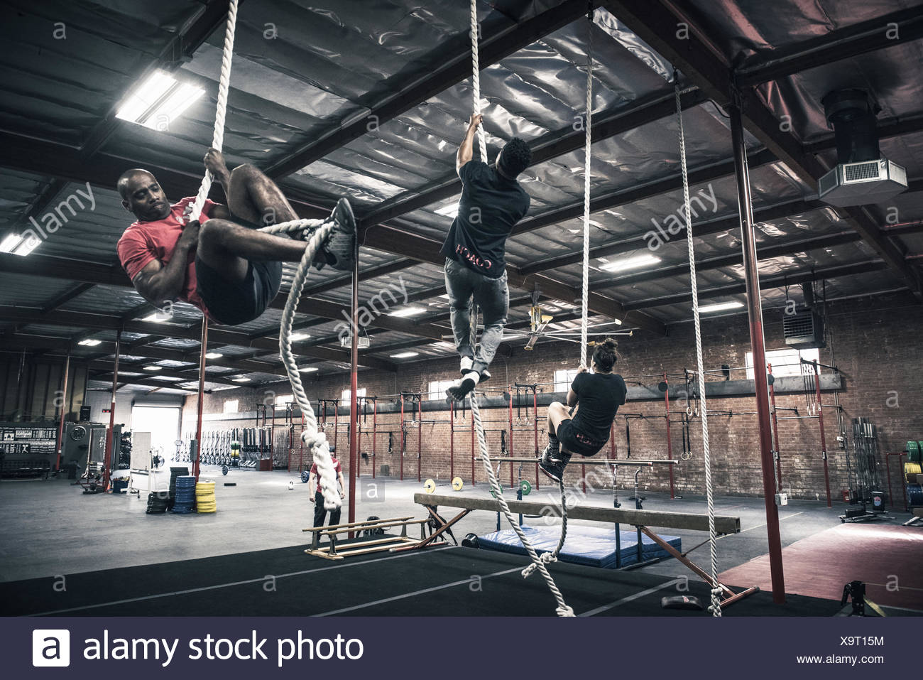 gym climbing rope