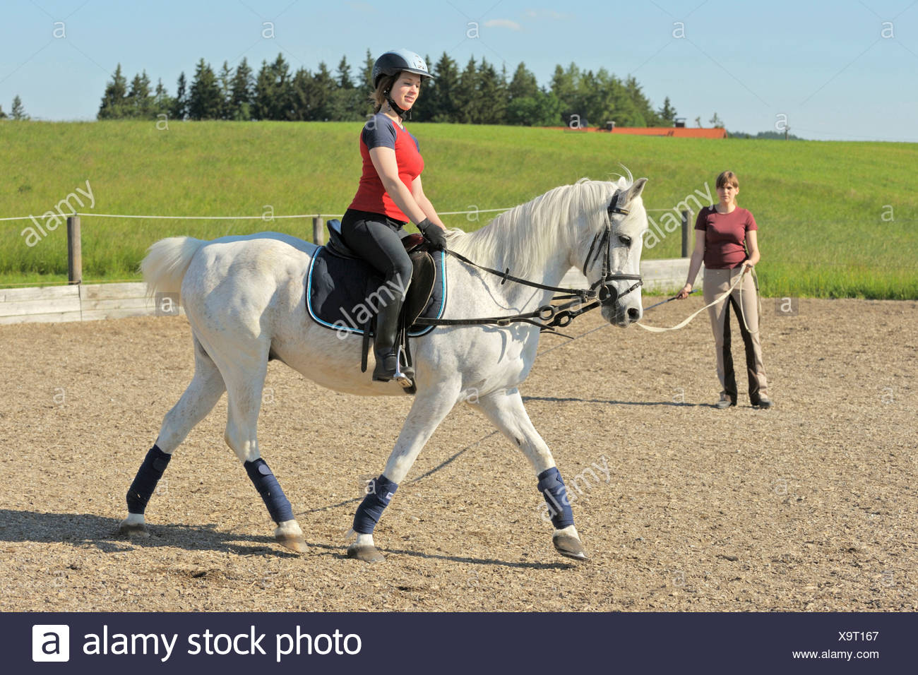 Lunging the adult rider book casually Lunging the adult rider book opinion
